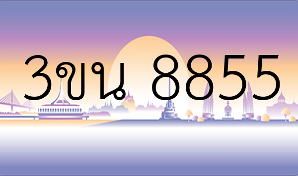 3ขน 8855